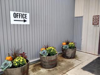Flower Barrels at Entrance